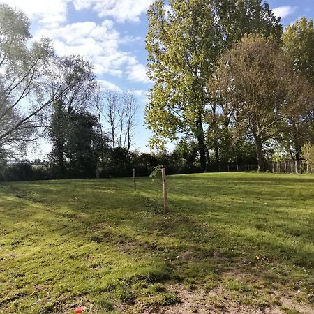 Foret De Nieppe Merville  Dış mekan fotoğraf