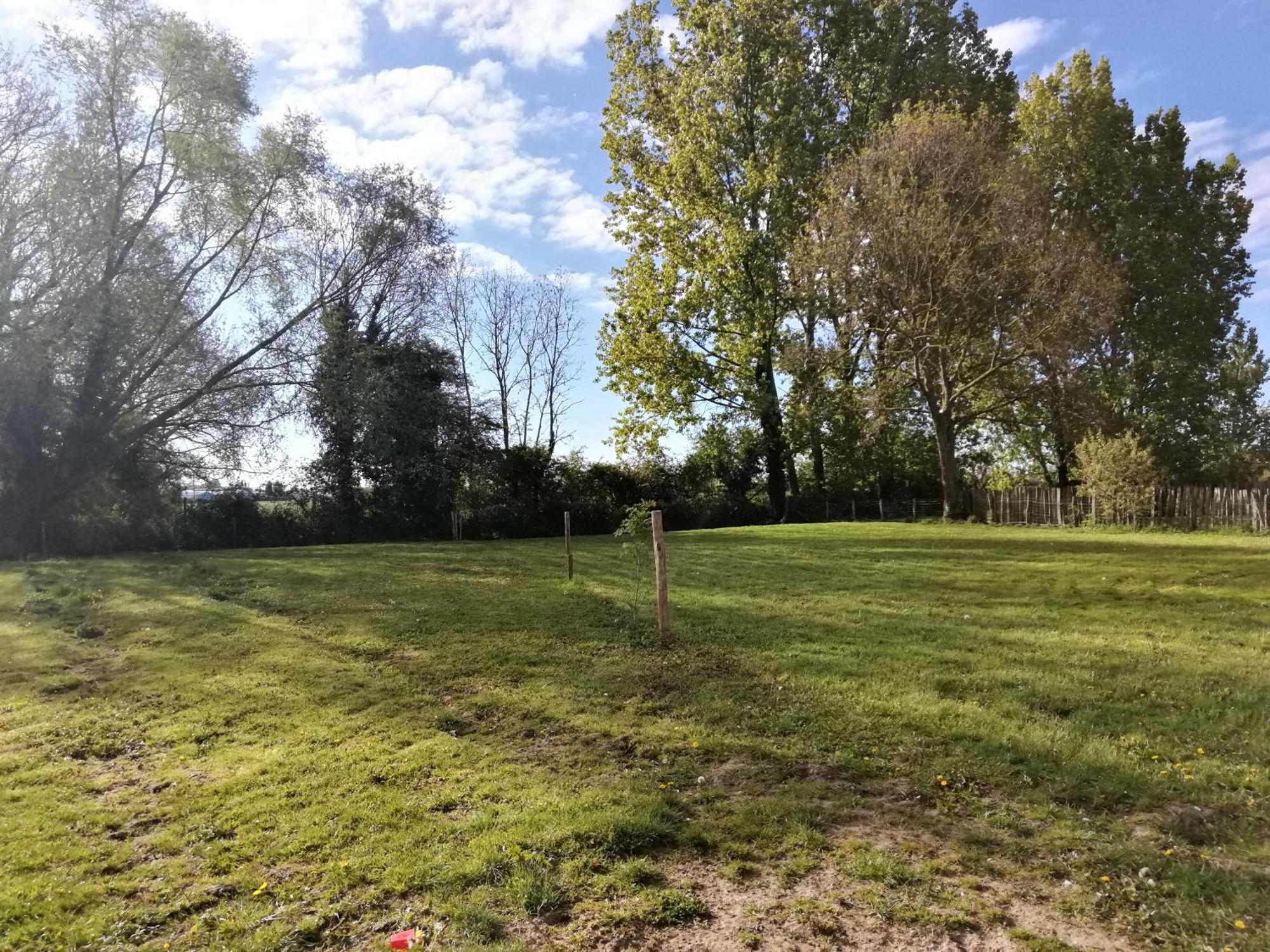 Foret De Nieppe Merville  Dış mekan fotoğraf